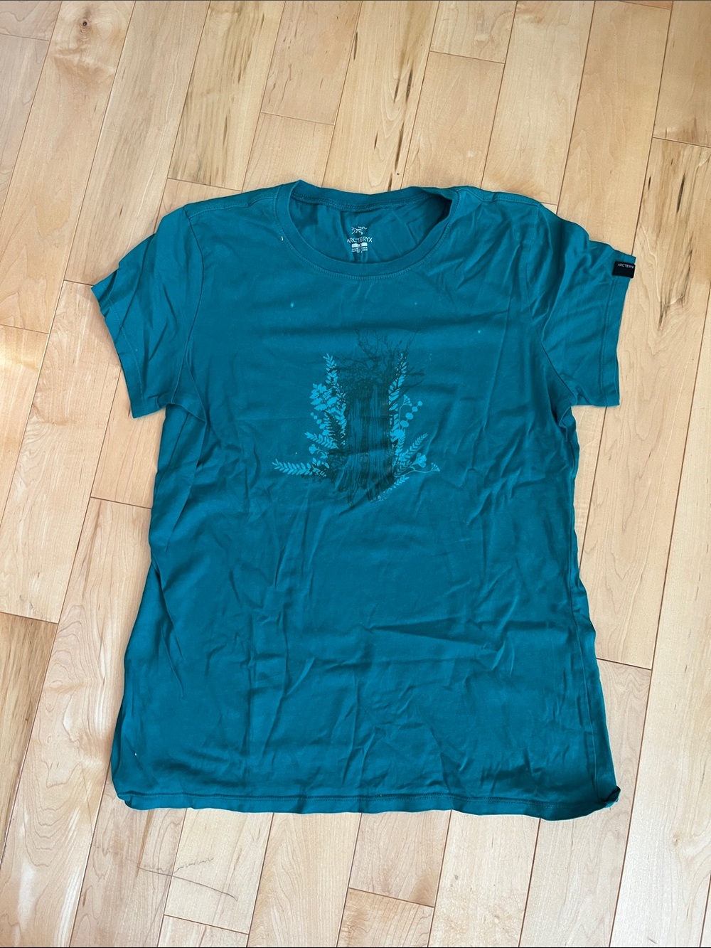 Arc'teryx Teal Short Sleeve Graphic Crewneck Tee